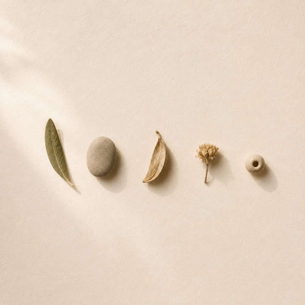 Cinci obiecte naturale — frunză de măslin, pietricică, păstaie, floare uscată și mărgea de ceramică — așezate în linie pe hârtie crem