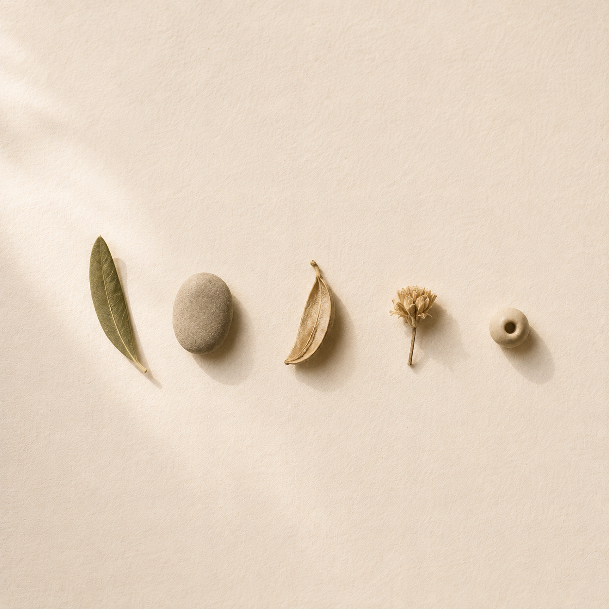 Cinci obiecte naturale — frunză de măslin, pietricică, păstaie, floare uscată și mărgea de ceramică — așezate în linie pe hârtie crem